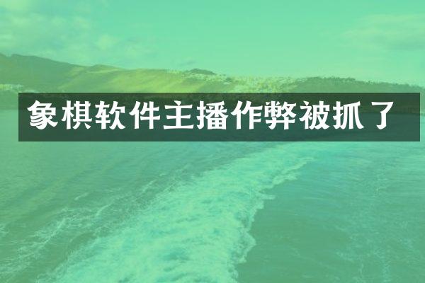 象棋软件主播作弊被抓了