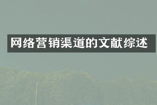 网络营销渠道的文献综述