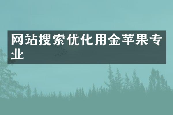 网站搜索优化用金苹果专业