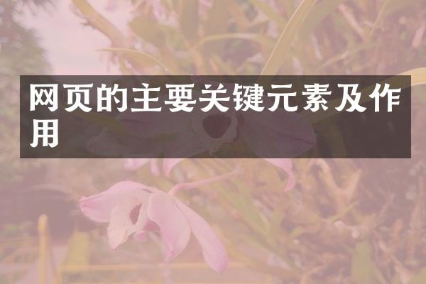 网页的主要关键元素及作用