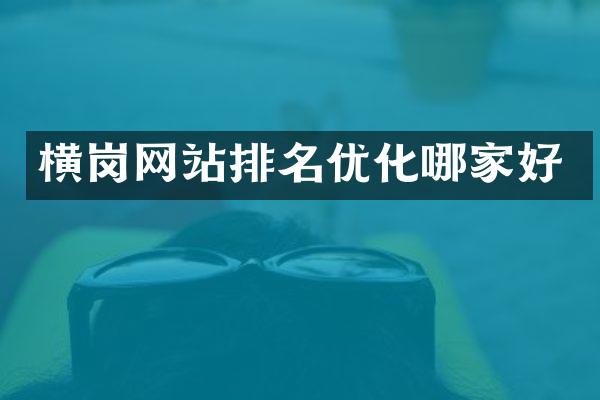 横岗网站排名优化哪家好