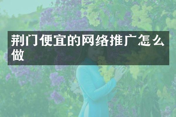 荆门便宜的网络推广怎么做