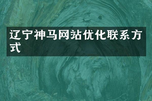 辽宁神马网站优化联系方式