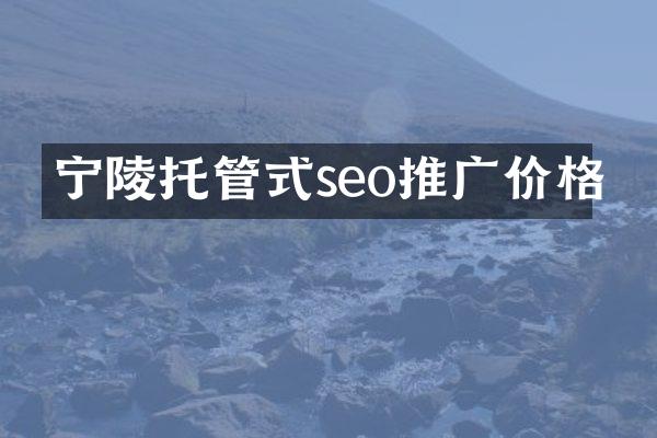 宁陵托管式seo推广价格