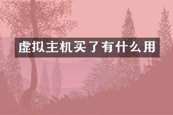 虚拟主机买了有什么用
