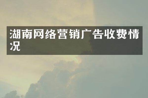 湖南网络营销广告收费情况