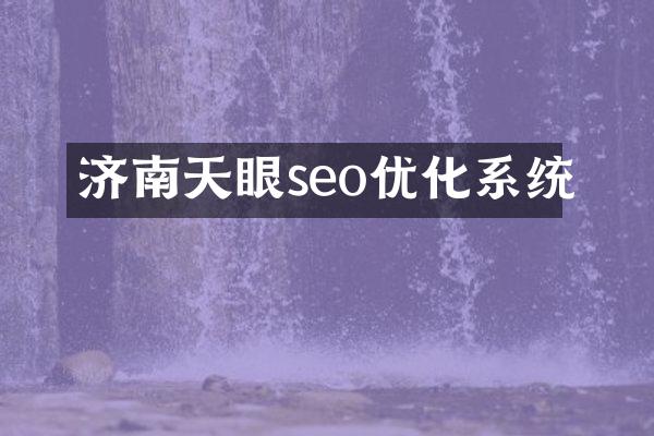 济南天眼seo优化系统