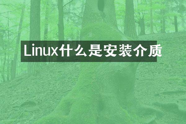 Linux什么是安装介质