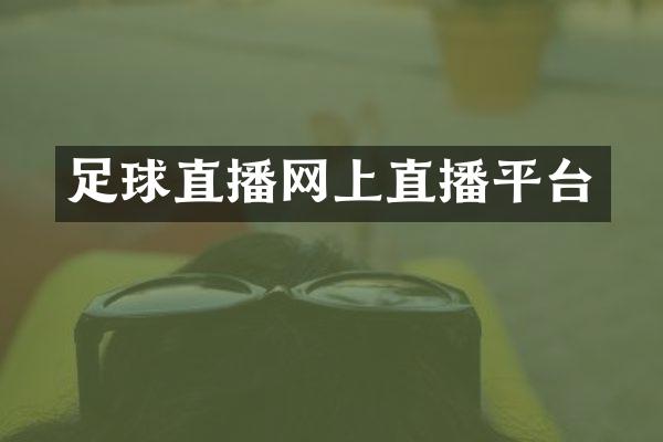 足球直播网上直播平台