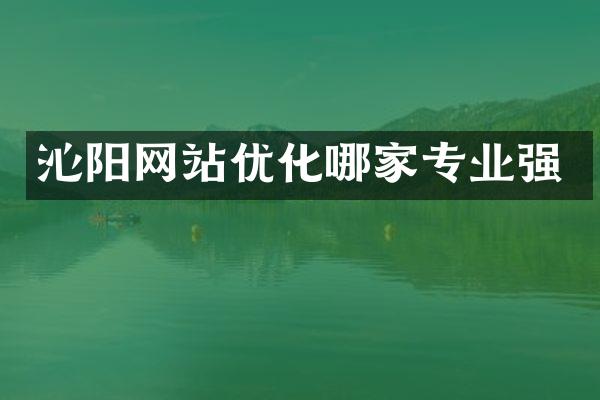 沁阳网站优化哪家专业强
