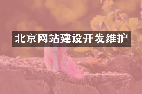 北京网站建设开发维护