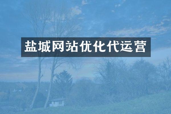盐城网站优化代运营