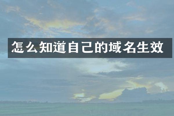 怎么知道自己的域名生效