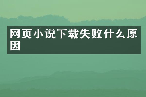 网页小说下载失败什么原因