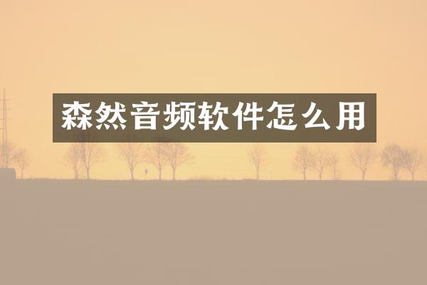 森然音频软件怎么用