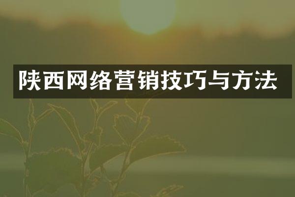 陕西网络营销技巧与方法