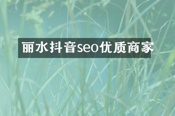丽水抖音seo优质商家