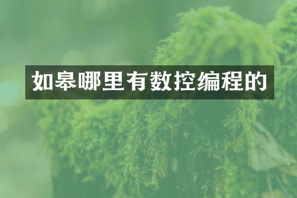 如皋哪里有数控编程的