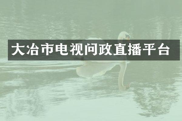 大冶市电视问政直播平台