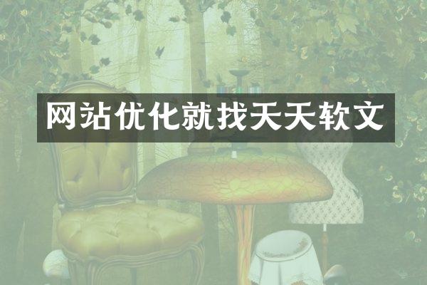 网站优化就找天天软文