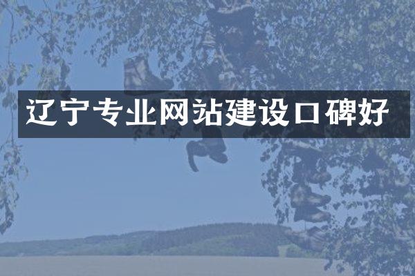 辽宁专业网站建设口碑好