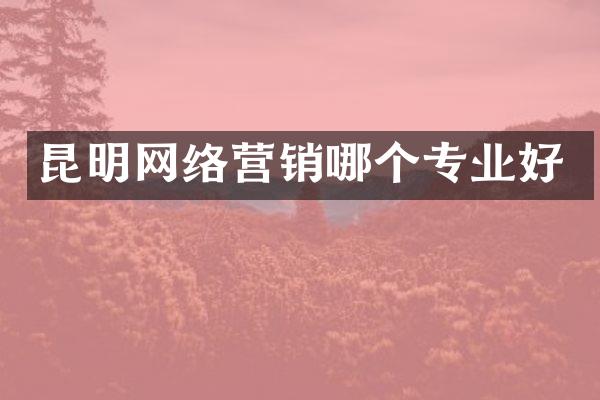 昆明网络营销哪个专业好