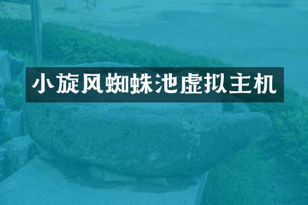 小旋风蜘蛛池虚拟主机