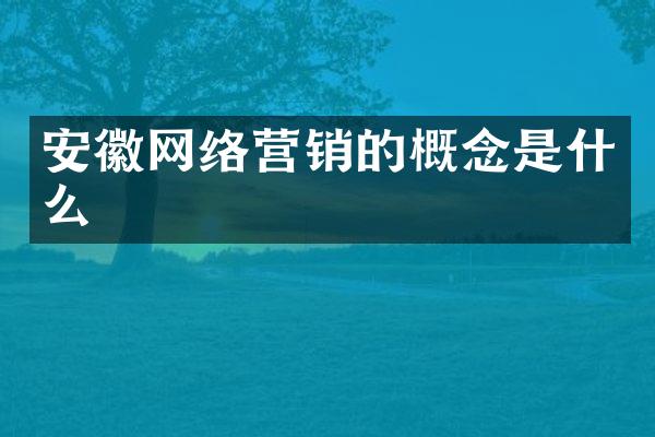 安徽网络营销的概念是什么