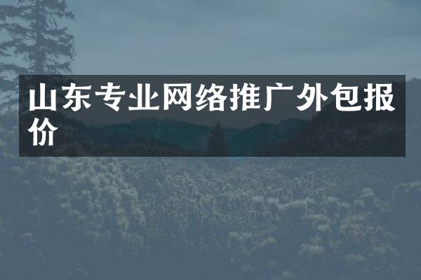 山东专业网络推广外包报价