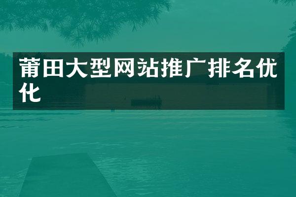 莆田大型网站推广排名优化