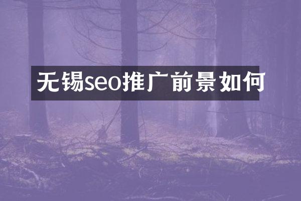 无锡seo推广前景如何