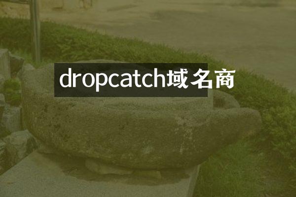dropcatch域名商