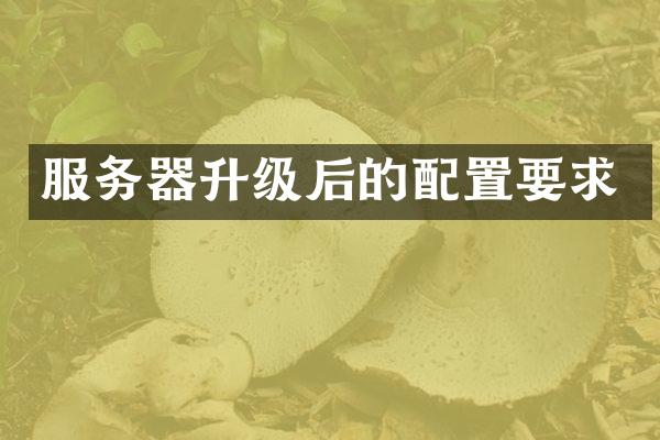 服务器升级后的配置要求