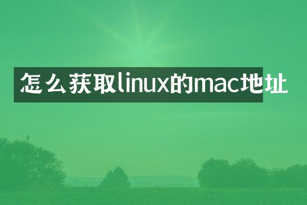 怎么获取linux的mac地址