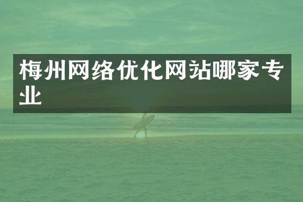 梅州网络优化网站哪家专业