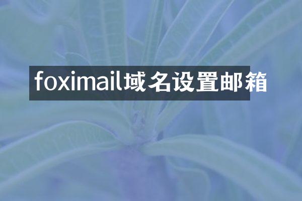 foximail域名设置邮箱