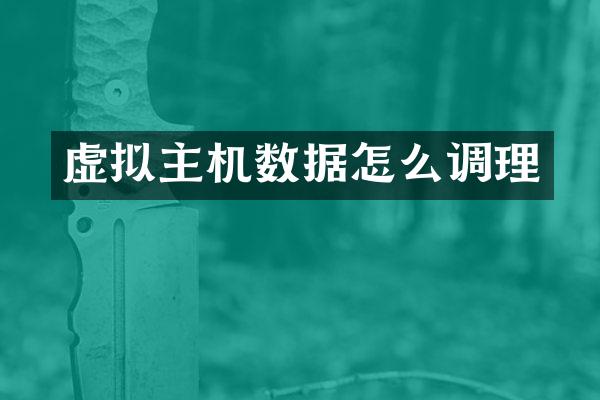 虚拟主机数据怎么调理