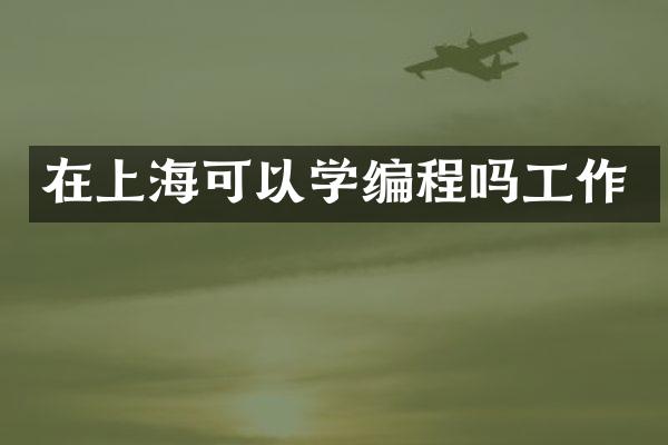 在上海可以学编程吗工作