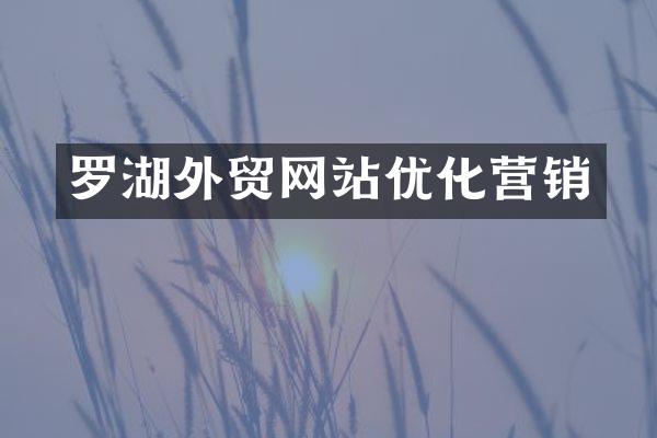 罗湖外贸网站优化营销