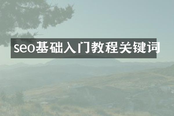 seo基础入门教程关键词
