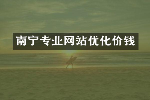 南宁专业网站优化价钱