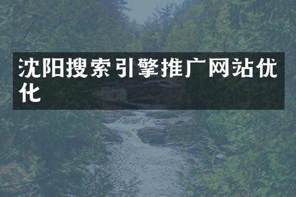 沈阳搜索引擎推广网站优化