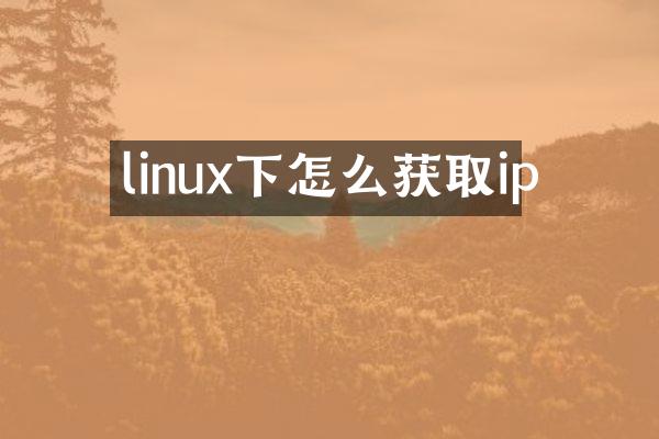 linux下怎么获取ip