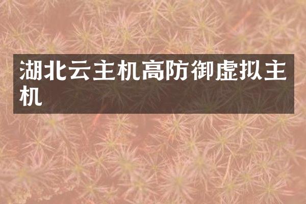 湖北云主机高防御虚拟主机