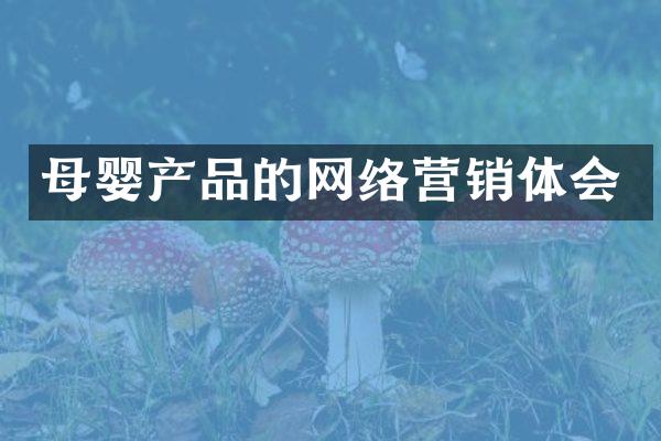 母婴产品的网络营销体会