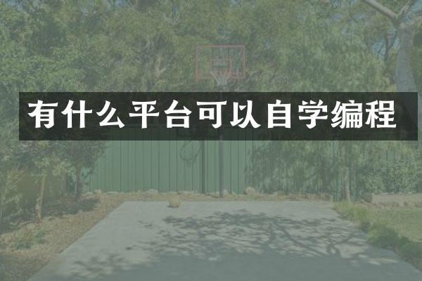 有什么平台可以自学编程
