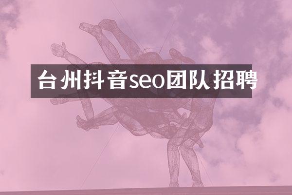 台州抖音seo团队招聘