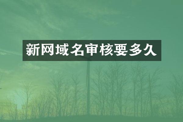 新网域名审核要多久