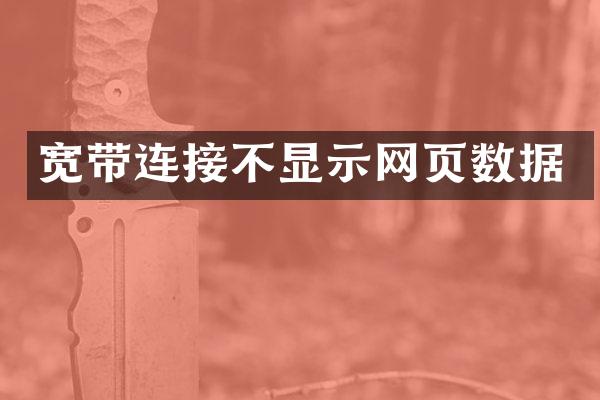 宽带连接不显示网页数据