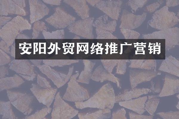 安阳外贸网络推广营销